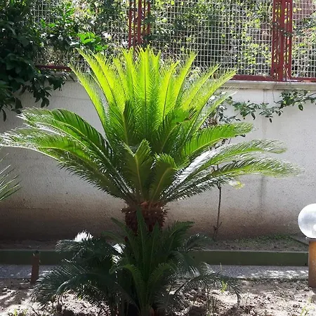 I 13 Cavalieri Penzion 2*